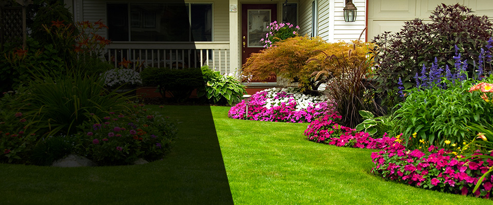 Monterey Landscapers