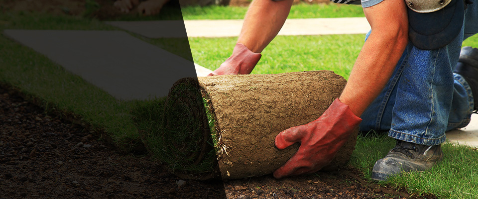 Monterey Landscapers